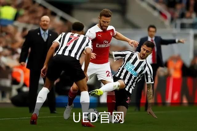 UED官网公司介绍图